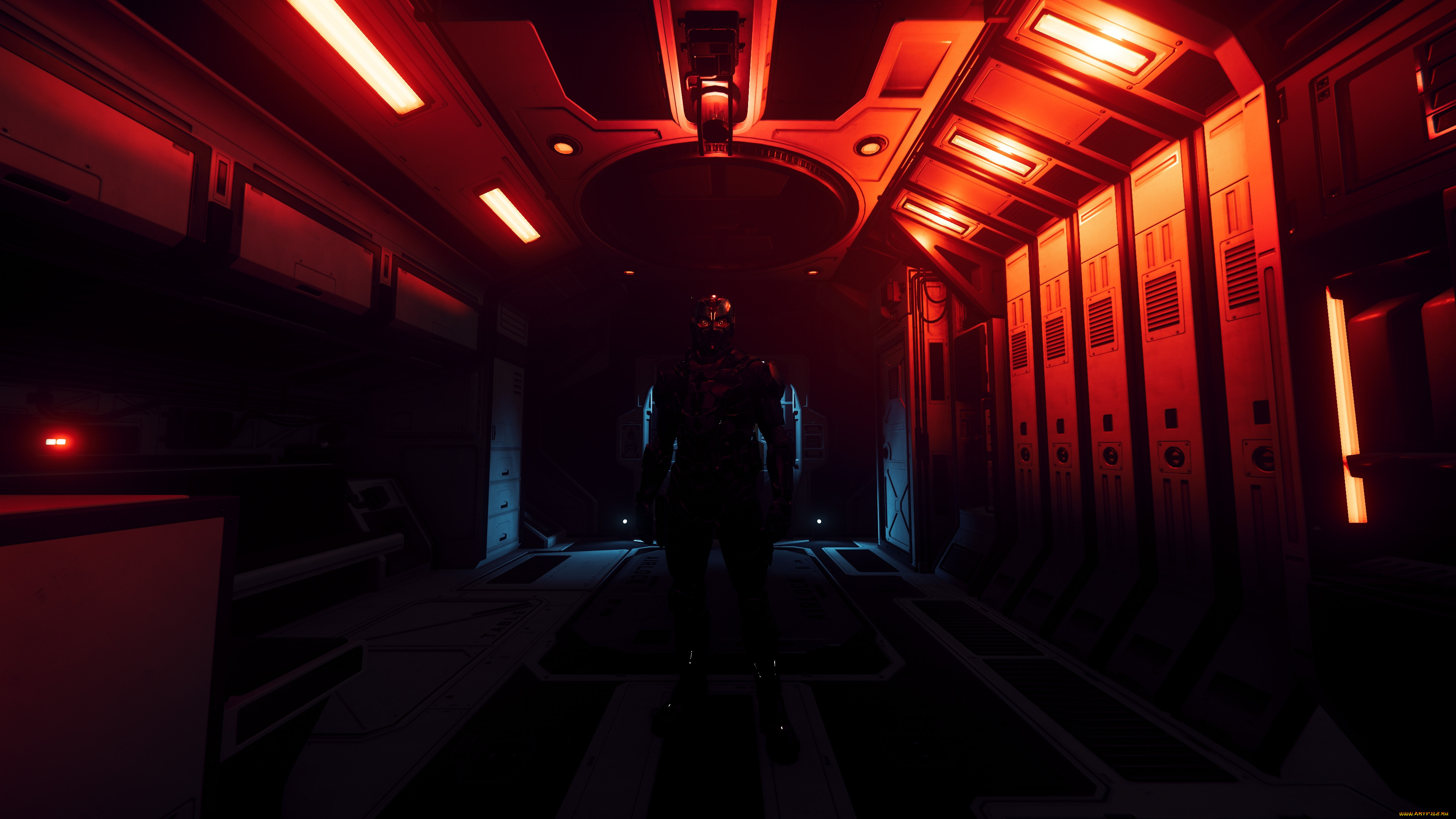  , star citizen, star, citizen